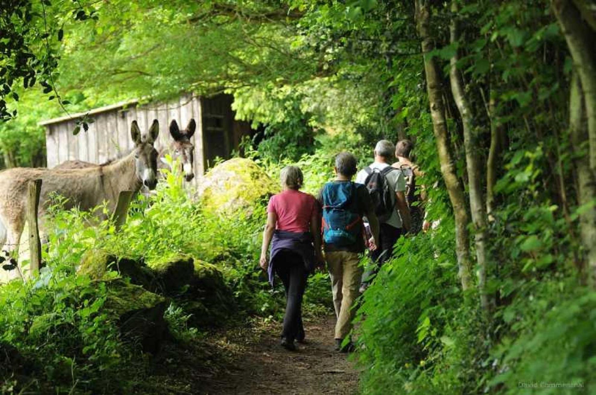 Gite De Fourneaux Pont-d'Ouilly Ngoại thất bức ảnh